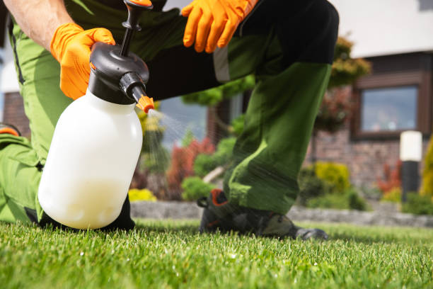 Best Local Pest Control Services  in Sisseton, SD