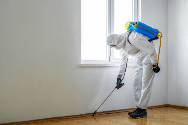 Reliable Sisseton, SD Pest Control Solutions