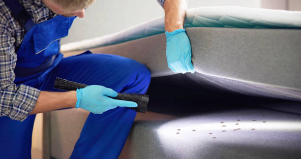 Best Ant Control Services  in Sisseton, SD
