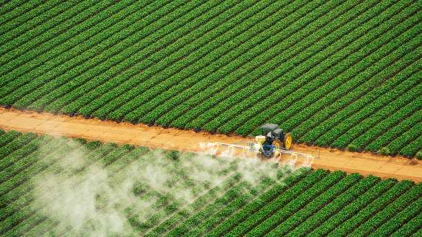 Wasp Removal Services in Sisseton, SD